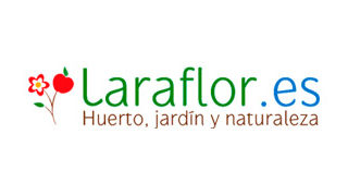 laraflor